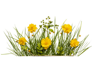 yellow flower cosmos with grass arrangement flat lay style 