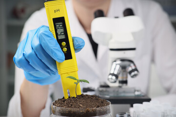 Woman scientist examines soil PH in container with cannabis