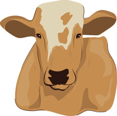 Cow Eid Al-Adha Illustration