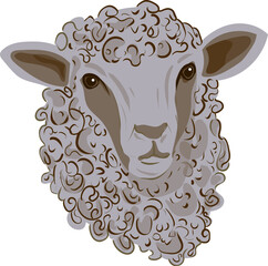 Sheep Eid Al-Adha Illustration