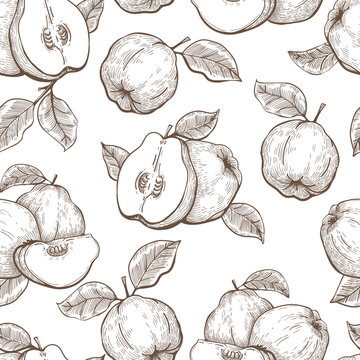 Engraved quince pattern