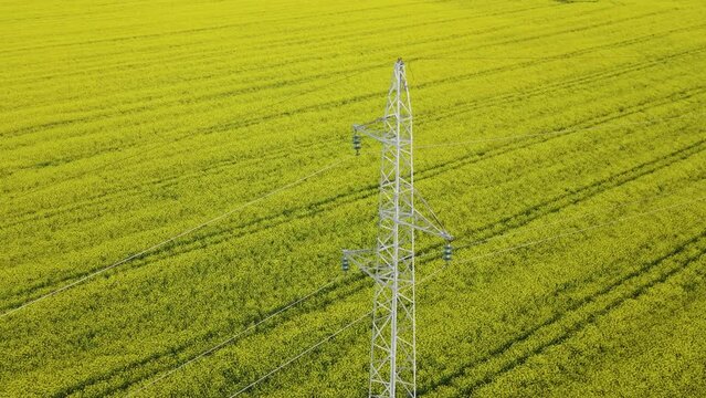 Aerial view around a electic pylon in middle of a canola field on a sunny day