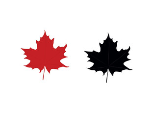 maple leaf isolated on white. Realistic red maple leaf isolated on white background. Vector eps10 illustration. Red maple leaf isolated on transparent or white background