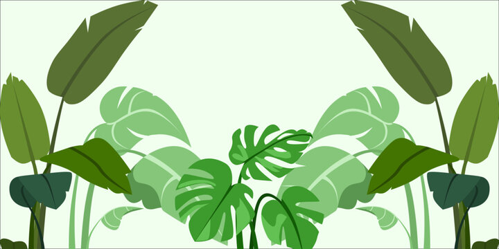 Foliage and botanical background. Green tropical forest wallpaper of monstera leaves, palm fronds, branches with hand drawn pattern. Exotic plant background for banners, prints, decorations, wall art.