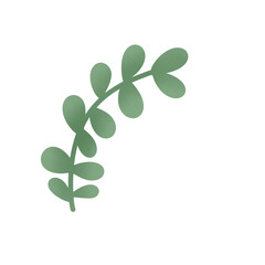 leaf for decoration on transparent background png file