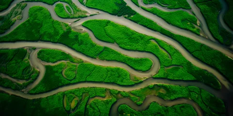 Abwaschbare Fototapete Grün aerial view of a river delta with lush green vegetation and winding waterways Generative AI