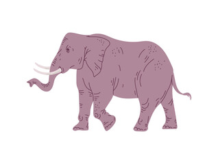 Big going elephant with two tusks flat style, vector illustration