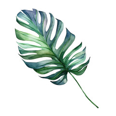 Fototapeta na wymiar watercolor green leaf isolated on white transparent background, PNG ,Generative AI