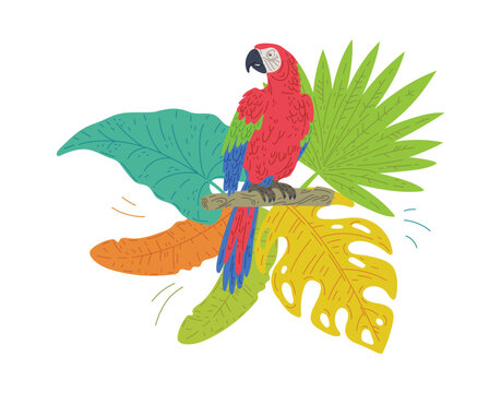 Summer print with tropical macaw parrot with red plumage, flat vector isolated.