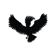 Cockatoo parrot flying with wings spread outline silhouette, vector isolated.
