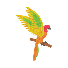 Golden Ara aratinga or macaw parrot with yellow plumage flat vector isolated.