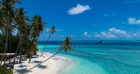 Fototapeta na wymiar The summer tropical on the sandy beach and turquoise Tropical beach with blue sky background