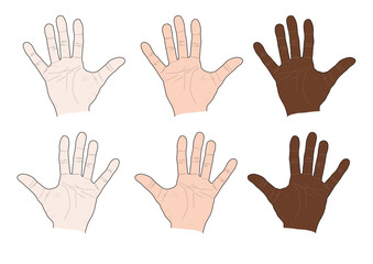 hand palm 手掌 てのひら