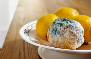 Plate with rotten and fresh lemons