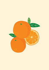 Orange illustration with leaves whole and slices of oranges. Vector illustration of oranges. can be used for posters, digital banners, website, and app design. 