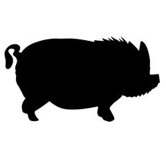 Pig Silhouette 
