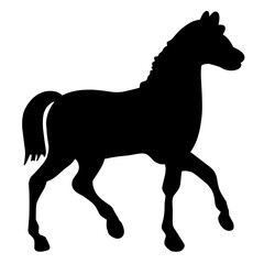 Horse Silhouette 