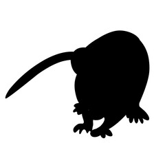 Mouse Silhouette