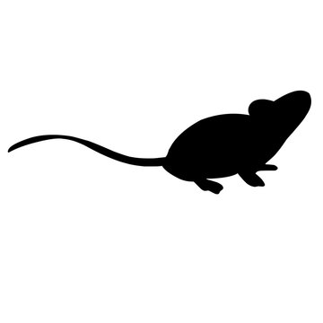 Mouse Silhouette