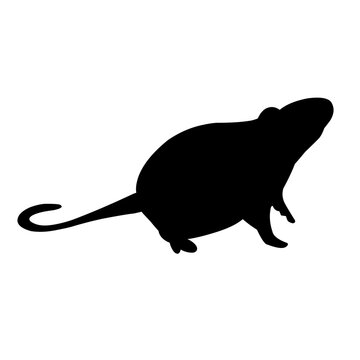 Mouse Silhouette