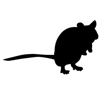 Mouse Silhouette