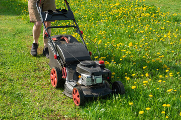 Fototapeta premium Man mowing fresh grass in the backyard garden plot with a gasoline lawn mower. Mowing dandelions. Lawn care, spring work in the garden. Only the legs in the sneakers are visible.