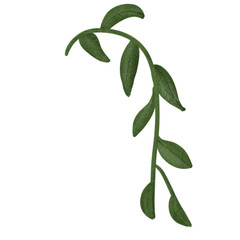 spring collection clipart with rabbit and natural watercolor.cute elements for  decoration and card.