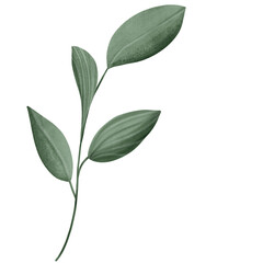 spring collection clipart with rabbit and natural watercolor.cute elements for  decoration and card.