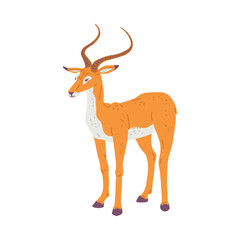 African or Asian antelope deerlike animal flat vector illustration isolated.