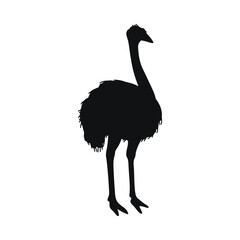 Black silhouette of ostrich bird flat style, vector illustration