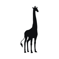 African giraffe black ink silhouette side view vector illustration isolated.