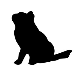 Cat Silhouette