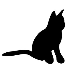 Cat Silhouette