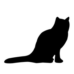 Cat Silhouette