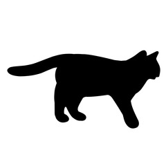 Cat Silhouette