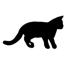 Cat Silhouette