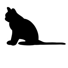 Cat Silhouette