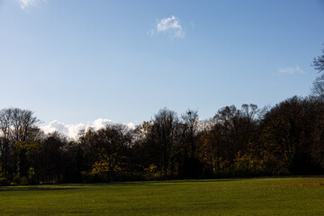 Fototapeta na wymiar Trees, sky and field in a park
