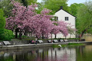 Fototapete bei efototapeten.de bestellen   