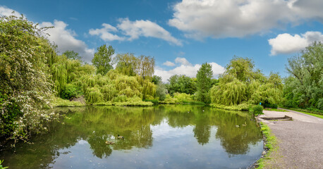 Fototapeta na wymiar Beautiful wide landscape view of mandarin Duck Pond surrounded by green fresh trees and wildlife in Witham village in the springtime