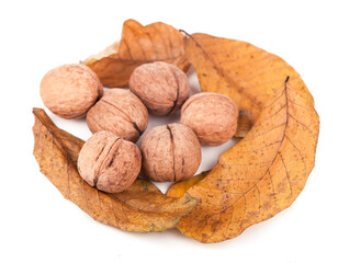 Fresh ripe Walnut with dried leaves isolated on a white background.