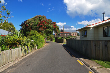 Road in Rotorua, New Zealand