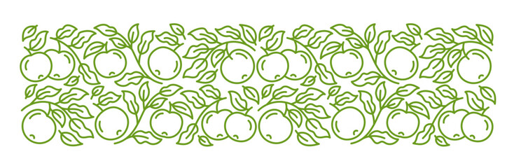 Apple fruit line ornament. Branches leaves and fruit. Editable outline stroke. Vector line.