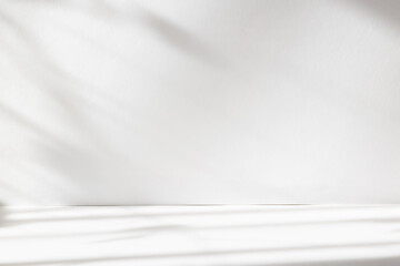 Abstract white studio background with shadows of window. Empty 3d room. Display product with blurred backdrop.