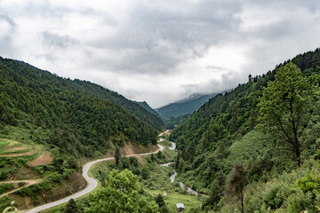 Long meandering road though the middle of forest and river flowing beneath the road, perfect environment in Bhutan for gateaway. © Arun
