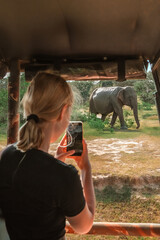 Wildlife safari.Eco travel in the jungle with wild animals elephants.Tropical tourism in the wild life of elephants.Road trip jungle,eco safari.Elephant wild life © shintartanya