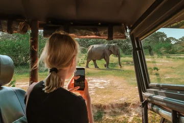 Foto op Aluminium Wildlife safari.Eco travel in the jungle with wild animals elephants.Tropical tourism in the wild life of elephants.Road trip jungle,eco safari.Elephant wild life © shintartanya