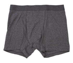 Font dark gray boxer short