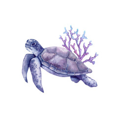 Sea turtle and corals. Underwater animal blue violet color drawn in watercolor by hand on white background. Side view.