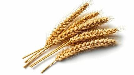 Wheat ears isolated on white background. Package design element with clipping path. Full depth of field generative ai variation 1